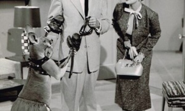 NFSA Events: 1950s TV NOSTALGIA Part 2: My Little Margie, Little Rascals, Cubby Bear and Crusader Rabbit 