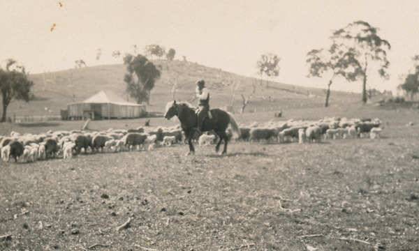 Lanyon Summer Walk and Talk: Such hard years - life on soldier settler blocks between the wars